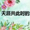 天涯共此时的意思（天涯共此时的意思简述）