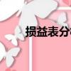 损益表分析（关于损益表分析简介）