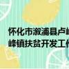 怀化市溆浦县卢峰镇扶贫开发工作站（关于怀化市溆浦县卢峰镇扶贫开发工作站介绍）