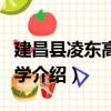 建昌县凌东高级中学（关于建昌县凌东高级中学介绍）