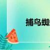 捕鸟蜘蛛（关于捕鸟蜘蛛简介）