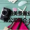 岳阳美景置业有限公司（关于岳阳美景置业有限公司简介）