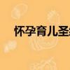 怀孕育儿圣经（关于怀孕育儿圣经介绍）