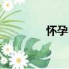 怀孕日（关于怀孕日介绍）