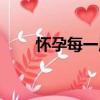 怀孕每一周（关于怀孕每一周介绍）