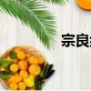 宗良纲（关于宗良纲介绍）