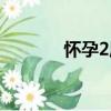 怀孕2周（关于怀孕2周介绍）