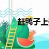 赶鸭子上架的下一句（是什么意思）