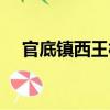 官底镇西王村（关于官底镇西王村介绍）
