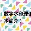 数字水印理论与技术（关于数字水印理论与技术简介）