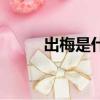 出梅是什么意思啊（出梅的意思）