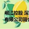 岷江控股 深圳有限公司（关于岷江控股 深圳有限公司简介）