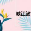 峡江鲥鱼（关于峡江鲥鱼简介）