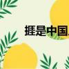 捱是中国人（关于捱是中国人简介）