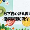 数字岩心及孔隙级渗流模拟理论（关于数字岩心及孔隙级渗流模拟理论简介）