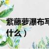 紫藤萝瀑布写作背景（紫藤萝瀑布写作背景是什么）