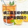 峡江县玉峡中药现代农业产业园（关于峡江县玉峡中药现代农业产业园简介）