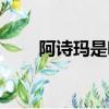 阿诗玛是哪个民族的（阿诗玛简介）