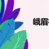 峨眉柯（关于峨眉柯简介）