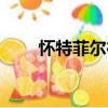 怀特菲尔德（关于怀特菲尔德介绍）