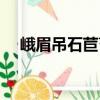 峨眉吊石苣苔（关于峨眉吊石苣苔简介）