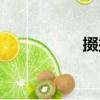 掇掇（关于掇掇简介）