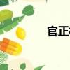 官正村（关于官正村介绍）