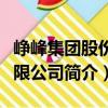 峥峰集团股份有限公司（关于峥峰集团股份有限公司简介）