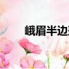 峨眉半边莲（关于峨眉半边莲简介）