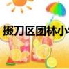 掇刀区团林小学（关于掇刀区团林小学简介）