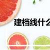 建档线什么意思（建档线意思是什么）