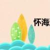怀海涛（关于怀海涛介绍）