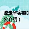 败走华容道的主人公是谁（败走华容道的主人公介绍）
