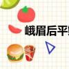 峨眉后平鳅（关于峨眉后平鳅简介）