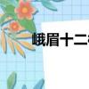 峨眉十二桩（关于峨眉十二桩简介）