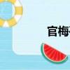 官梅亭（关于官梅亭介绍）