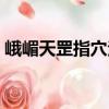 峨嵋天罡指穴法（关于峨嵋天罡指穴法简介）
