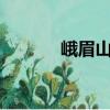 峨眉山A（关于峨眉山A简介）