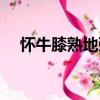 怀牛膝熟地粥（关于怀牛膝熟地粥介绍）