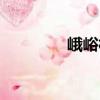 峨峪村（关于峨峪村简介）
