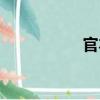 官本（关于官本介绍）