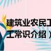 建筑业农民工务工常识（关于建筑业农民工务工常识介绍）