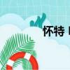 怀特 H.（关于怀特 H.介绍）