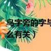 鸟字旁的字与什么有关（常见鸟字旁的字和什么有关）