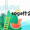 soga什么意思中文（soga的解释）