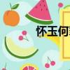 怀玉何罪（关于怀玉何罪介绍）