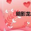 暗影龙怎么打（暗影龙如何打）