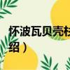 怀波瓦贝壳杉森林（关于怀波瓦贝壳杉森林介绍）