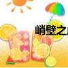峭壁之巅（关于峭壁之巅简介）