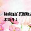 峰峰煤矿瓦斯煤尘防治技术（关于峰峰煤矿瓦斯煤尘防治技术简介）